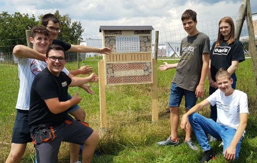 Mehrere Schüler vor einem selbst gebauten Insektenhotel