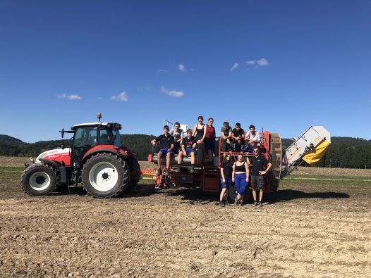 Traktor mit Schüler:innen auf Maschine zur Kartoffelernte