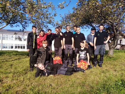 Schüler:innen im Schulobstgarten mit Säcken frisch geklaubter Äpfel