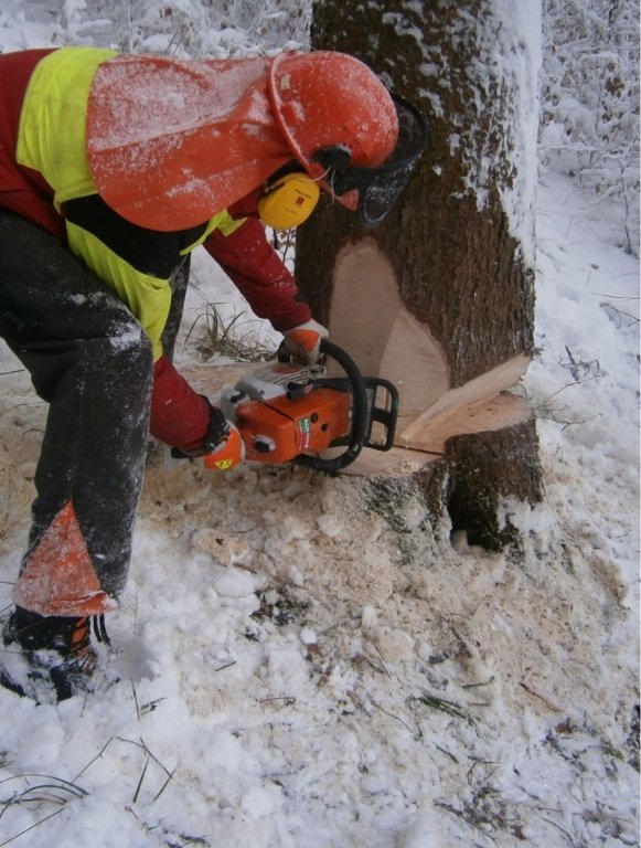 Forstarbeiter schneidet Baum mit Motorsäge um im Winter