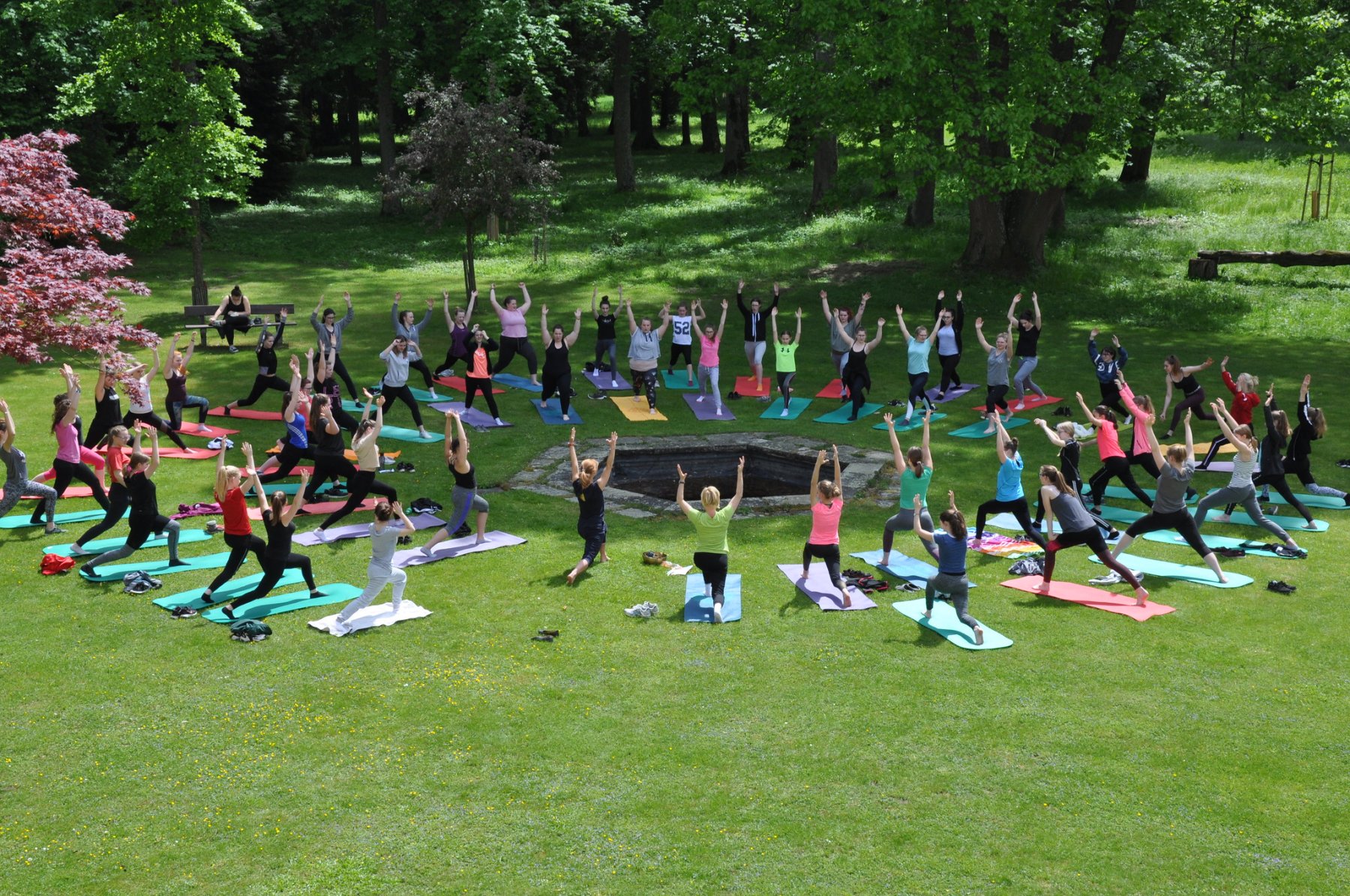 große, bunte Personengruppe beim Yoga, rund um eine Wasserstelle im Park